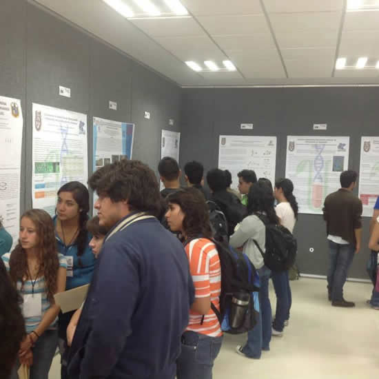 Imagen 4 de 20
