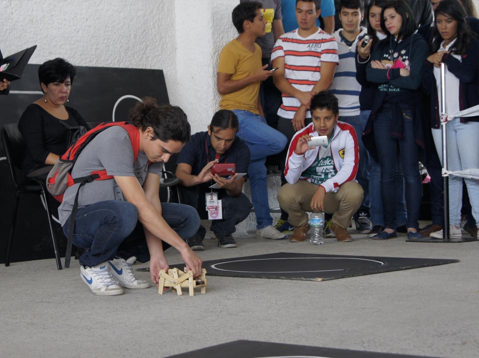 Imagen 14 de 29